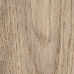 Amerikansk hvideg                                                                  Ring for pris 